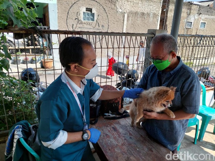 Puluhan hewan peliharaan di Cimahi divaksinasi rabies dan flu burung