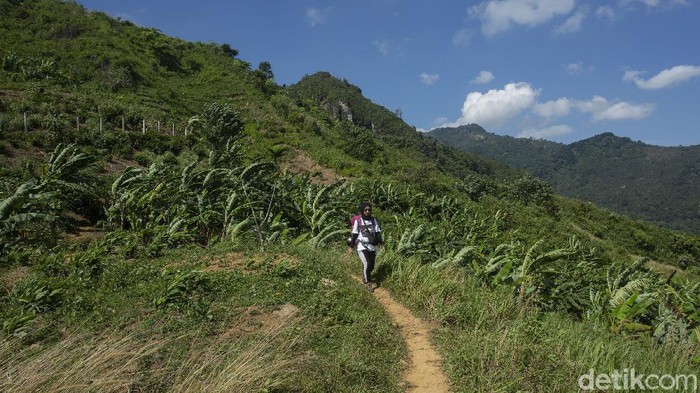 PPKM berkepanjangan membuat sejumlah perjalanan dan aktivitas sedikit terhambat, salah satunya pendakian gunung di berbagai daerah. Namun ternyata di dekat Jakarta terdapat gunung yang dapat didaki.