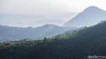 Serunya Mendaki Gunung Kuta yang Dekat Banget dari Jakarta