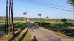 Foto: Sawah Kulon Progo dengan 1.000 Bendera Merah Putih
