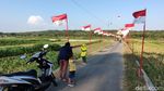 Foto: Sawah Kulon Progo dengan 1.000 Bendera Merah Putih