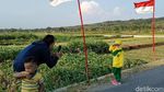 Foto: Sawah Kulon Progo dengan 1.000 Bendera Merah Putih