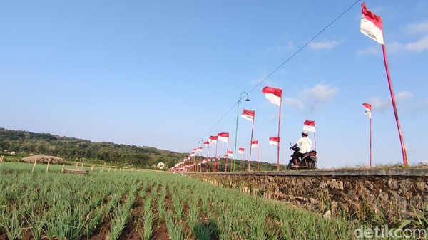 Pemasanagan bendera dalam rangka HUT Kemerdekaan RI ini diinisiasi oleh sejumlah pihak. Mulai dari tokoh masyarakat, pemuda hingga karangtaruna Dobangsan. (Jalu Rahman Dewantara/detikcom) Pemasanagan bendera dalam rangka HUT Kemerdekaan RI ini diinisiasi oleh sejumlah pihak. Mulai dari tokoh masyarakat, pemuda hingga karangtaruna Dobangsan. (Jalu Rahman Dewantara/detikcom)