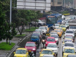 Untuk Cegah Kemacetan Manusia Harus Belajar dari Semut
