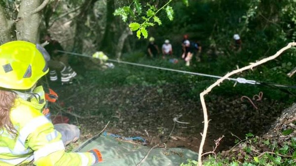 Piran seakan memberi tahu bahwa pemiliknya membutuhkan pertolongan. Aksinya berhasil mengundang perhatian warga. Piran seakan memberi tahu bahwa pemiliknya membutuhkan pertolongan. Aksinya berhasil mengundang perhatian warga.