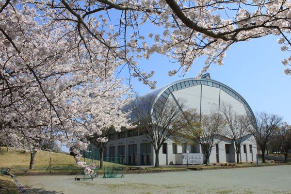 Keio University