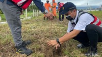 Proses penanaman pohon di Jalan Tol Trans Sumatera Ruas Sigli-Banda Aceh.