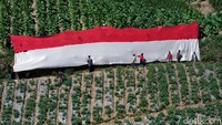 Kemeriahan dalam rangka Hari Kemerdekaan Republik Indonesia ke-76 di tengah pandemi ini juga turut dirasakan oleh warga sekitar. Terbukti dengan banyaknya peserta yang mengikuti pengibaran bendera.