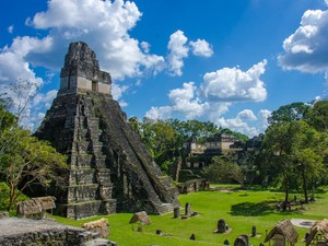 Orang Suku Maya Ternyata Konsumsi Singkong