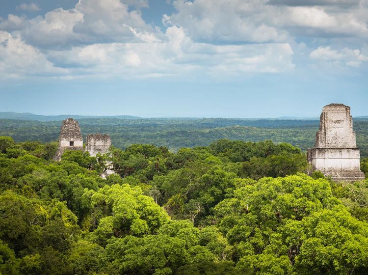 Potret Tikal, Kota Maya yang Paling Canggih Teknologinya