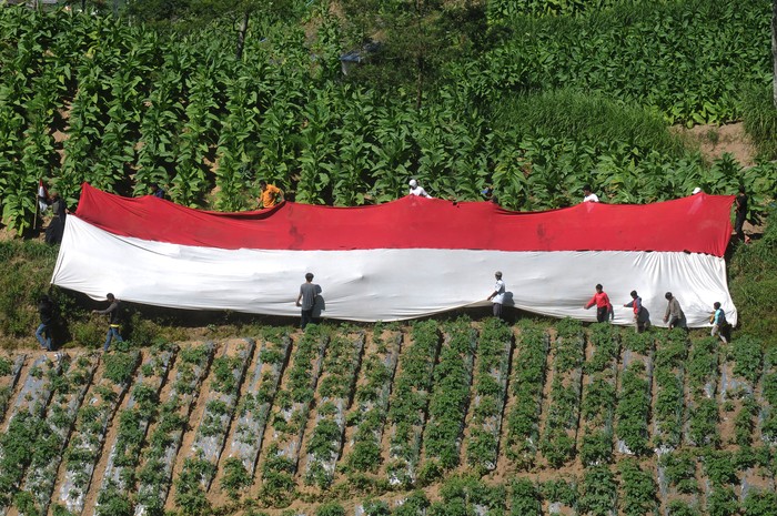 Sejumlah warga membentangkan bendera merah putih dengan berlatar belakang Gunung Merapi di lahan pertanian kaki Gunung Merbabu, Selo Tengah, Selo, Boyolali, Jawa Tengah, Selasa (17/8/2021). Kegiatan yang diikuti warga setempat itu untuk memperingati HUT Kemerdekaan ke-76 Republik Indonesia serta menanamkan jiwa nasionalisme kepada generasi muda. ANTARA FOTO/Aloysius Jarot Nugroho/wsj.