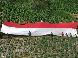 Bendera Merah Putih Raksasa Membentang di Kaki Gunung Merbabu