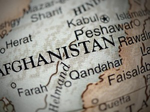 Taliban Berkuasa, RI Pernah Ekspor Sperma Sapi-Bangun RS di Afghanistan