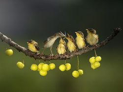 Karya Jawara Konten Foto CEWE Bikin Mata Terkesima