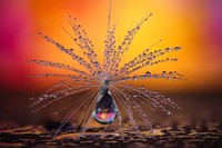 CEWE Photo Awards 2021