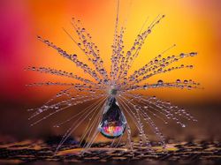 Karya Jawara Konten Foto CEWE Bikin Mata Terkesima