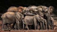 CEWE Photo Awards 2021