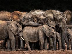 Karya Jawara Konten Foto CEWE Bikin Mata Terkesima