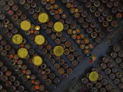 Karya Jawara Konten Foto CEWE Bikin Mata Terkesima