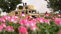 Dalam perkembangannya, Humvee muncul dalam beragan jenis dan wujud modifikasi. Setidaknya ada puluhan modifikasi Humvee yang disesuaikan dengan kebtuhan di lapangan. Getty Images/Scott Nelson