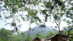 Leuwi Pangaduan, Hidden Gem Sentul yang Seger Banget