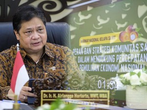 Sederet Jurus Pemerintah Genjot Produk Kelapa Sawit