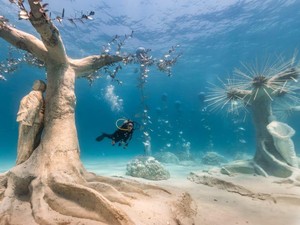 Hutan Buatan di Dasar Laut Siprus