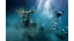Hutan Bawah Laut di Syprus