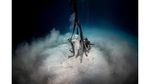 Hutan Bawah Laut di Syprus
