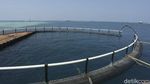 Restoran Terapung Ini Ada di Kepulauan Seribu Lho