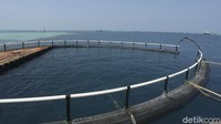 Nantinya pengunjung juga dapat berfoto-foto di area seafood ini, lokasi ini juga telah ada sejak 2017 lho.