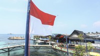 Bagaimana menurut Anda?
