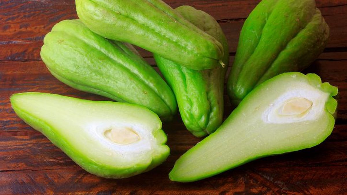 Manfaat Labu Untuk Menurunkan Tekanan Darah Manfaat Labu Untuk Menurunkan Tekanan Darah