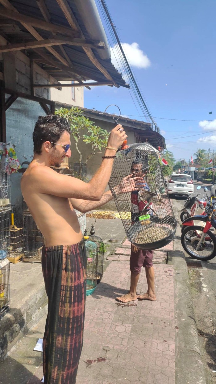 Bule pelepas burung di Bali