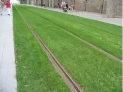 Awas Terkecoh, Foto Ini Baiknya Tak Dilihat Sekilas Saja