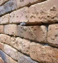 Foto mengecoh mata