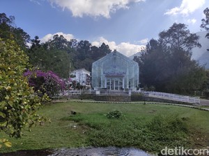 Harga Tiket Masuk Kebun Raya Cibodas, Lokasi, dan Daya Tariknya