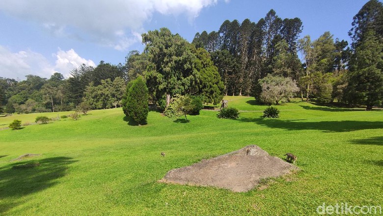 Kebun Raya Cibodas Objek wisata di Cianjur.