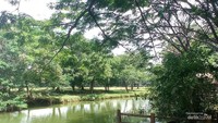 Jangan lewatkan berfoto di dermaga.