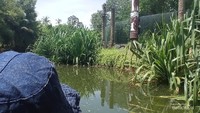 Berwisata sambil belajar nama dan jenis satwa, dan dari mana satwa berasal.