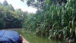 Menyusuri Amazon ala Jakarta