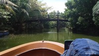 Menyusuri Amazon ala Jakarta.