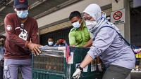 Dalam rangka Hari Orangutan Internasional, Balai Besar Konservasi Sumberdaya Alam (BBKSDA) Sumatera Utara (Sumut) menerima pemulangan sembilan ekor satwa liar yaitu satu ekor Orangutan Sumatera dan delapan ekor burung Beo Medan.