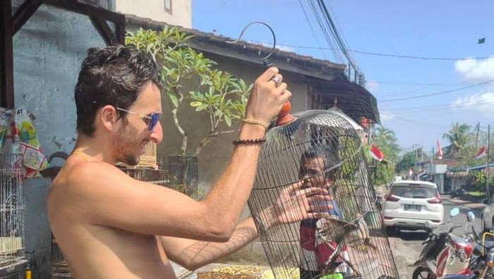 Viral bule di Bali lepasliarkan burung yang dibeli dari penjual. (dok. Istimewa)