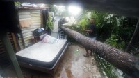 Lebih dari 300 orang dievakuasi.  
