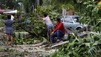 Pohon-pohon di pinggir jalan juga tumbang. Badai ini diperkirakan akan muncul kembali di Teluk Meksiko pada Kamis malam hingga Jumat (20/8) waktu setempat.    