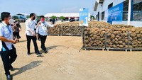 Jokowi meminta Menteri Pertanian serius mengembangkan tanaman porang.