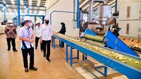 Dikutip dari Ensiklopedi Budidaya Tanaman Porang karya Siti Nur Aidah dan Tim Penerbit KBM Indonesia, porang merupakan sejenis umbi-umbian yang satu marga dengan suweg dan walur.