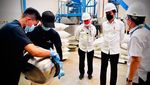 Ini Porang yang Disebut Jokowi Bisa Jadi Pengganti Beras