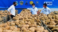 Masyarakat yang biasa konsumsi porang tak perlu khawatir distribusi padi atau gandum terganggu akibat pandemi COVID-19.